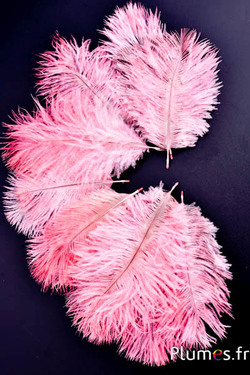Struzzo Bellies - 8-13 cm - rosa